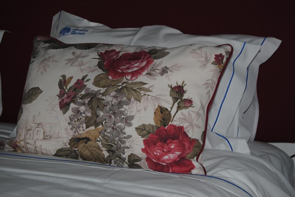 Herdade Dos Mestres Terena Room photo